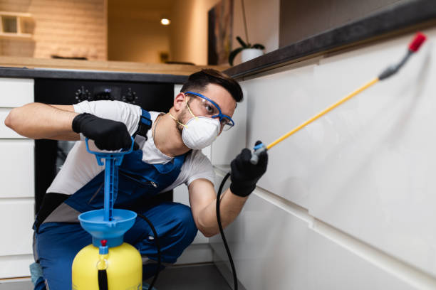 Best Pest Control Near Me  in Burlington, VT