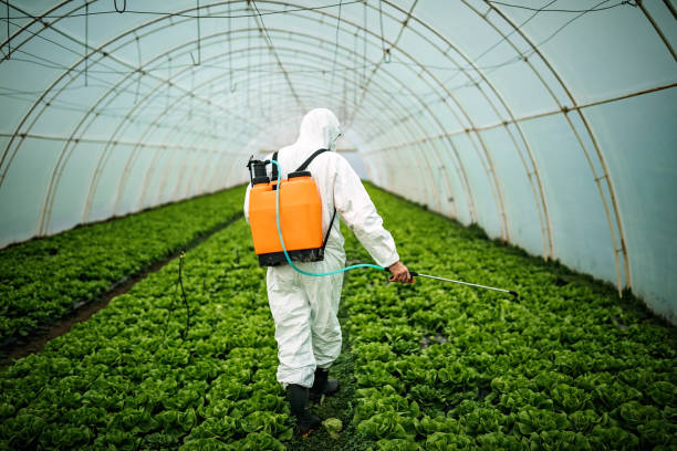 Best Pest Inspection Near Me  in Burlington, VT