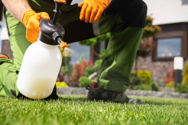 Best Pest Control for Businesses  in Burlington, VT