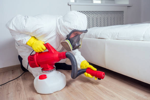 Best Affordable Pest Control Services  in Burlington, VT
