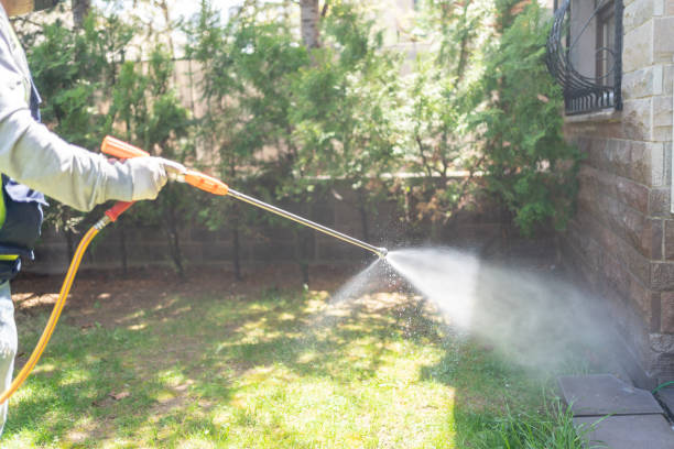 Best Bed Bug Extermination  in Burlington, VT