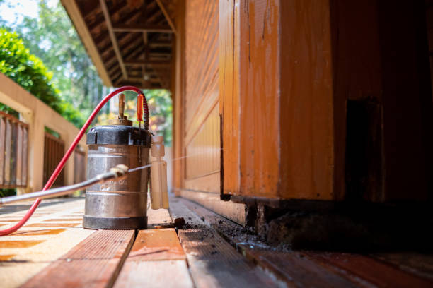 Best Cockroach Control Services  in Burlington, VT