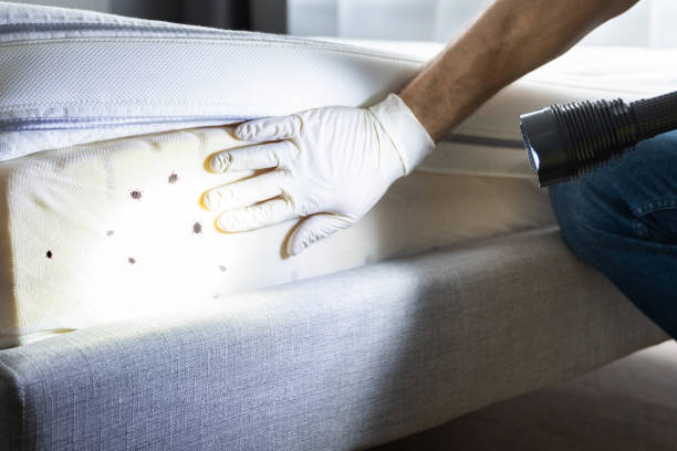  Burlington, VT Pest Control Pros