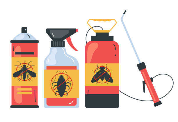 Best Flea Control Services  in Burlington, VT