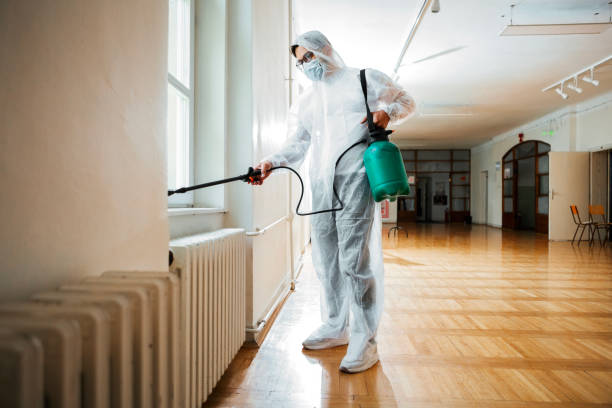 Reliable Burlington, VT Pest Control Solutions