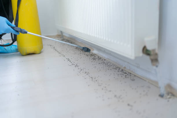 Best Residential Pest Control  in Burlington, VT